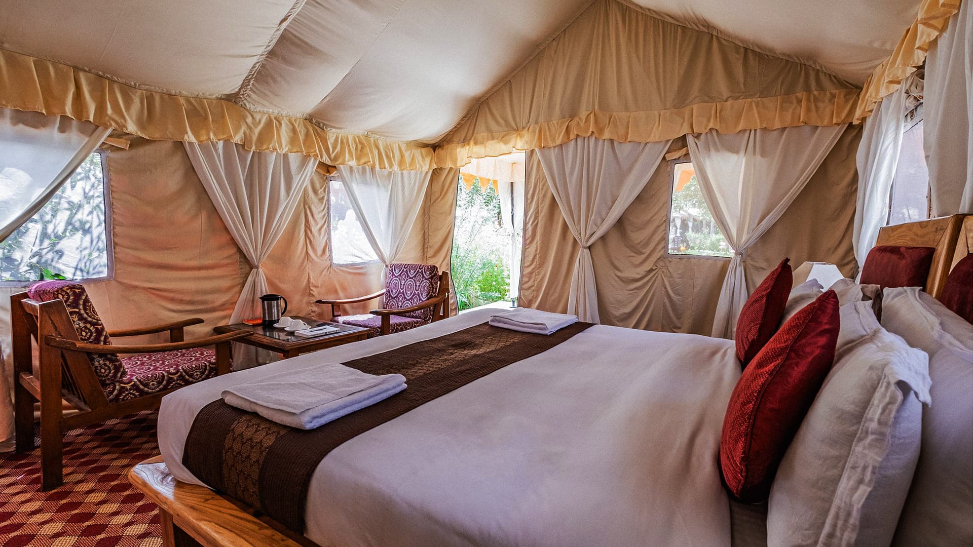 Luxury Camping in Nubra Valley